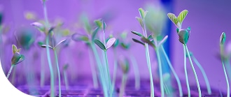 Корпоративное управление