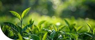 Акционерный капитал