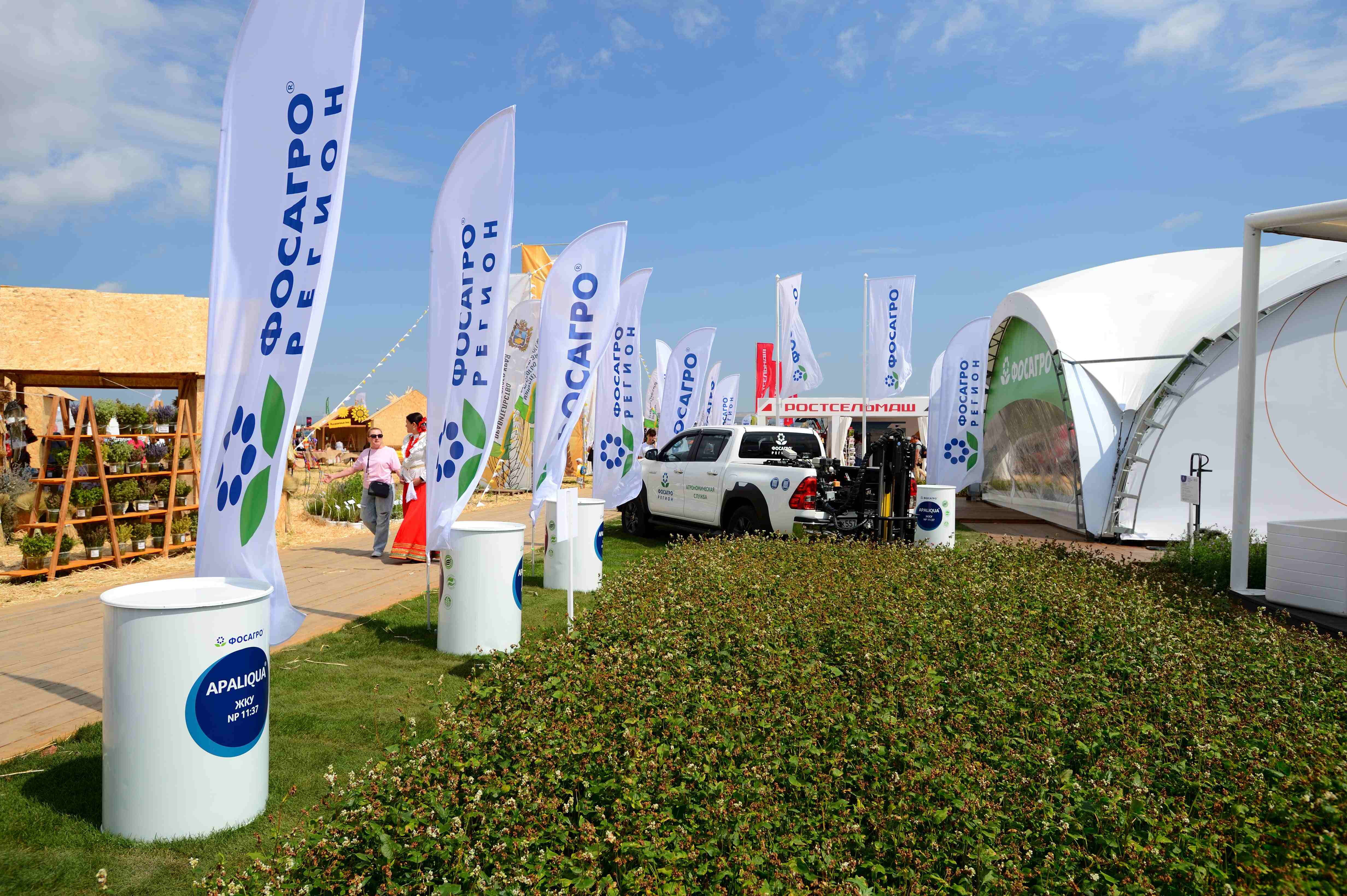 «Всероссийский день поля — 2024»