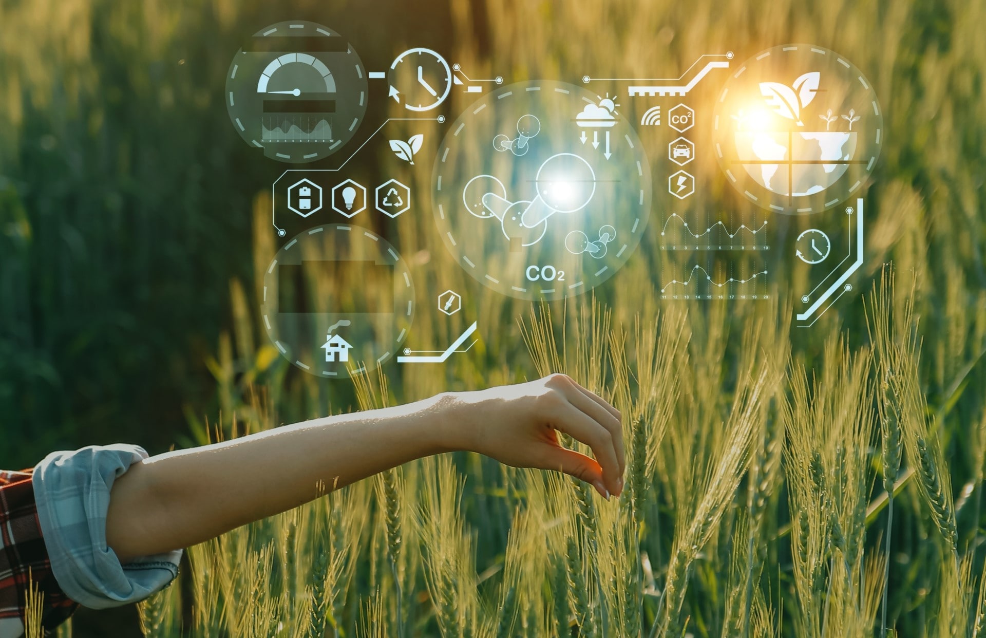 Стратегия и подход к управлению