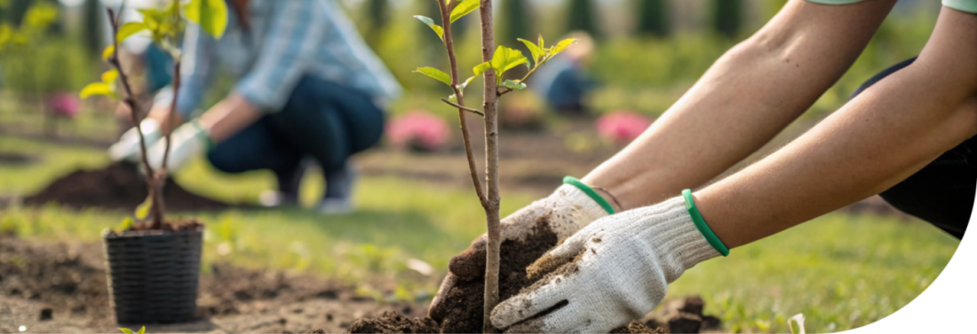 БИОРАЗНООБРАЗИЕ