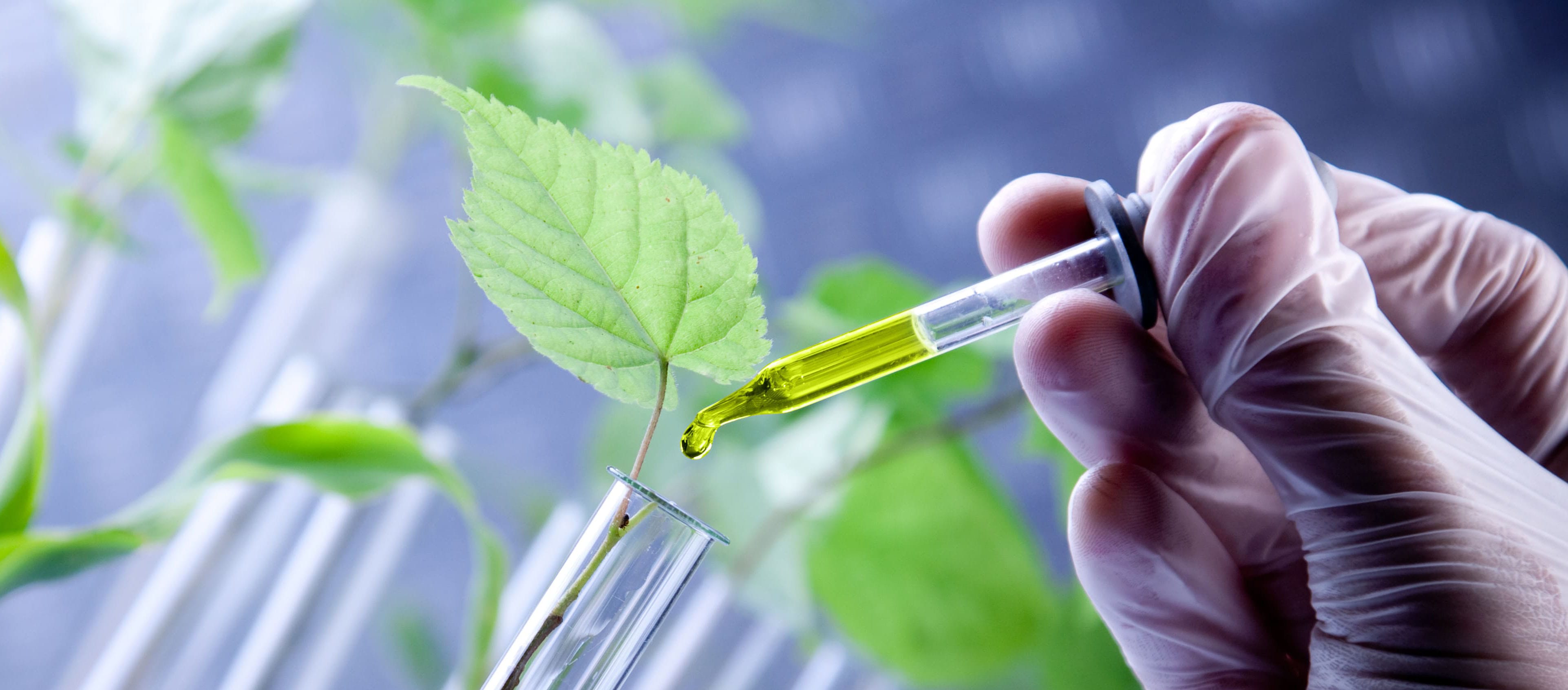 Ключевые показатели