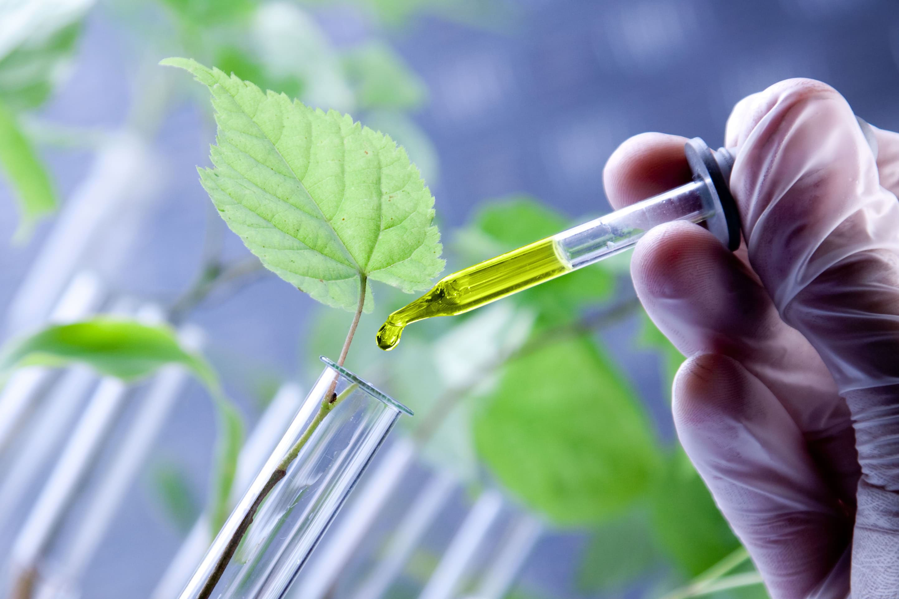 Ключевые показатели